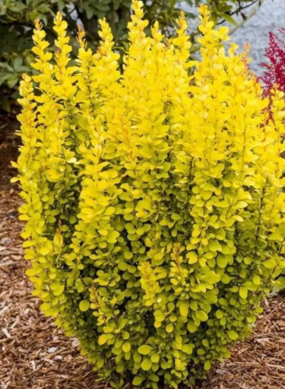 1WhatsApp Image 2024-09-04 at 12.50.38_dc8fbf13.webp